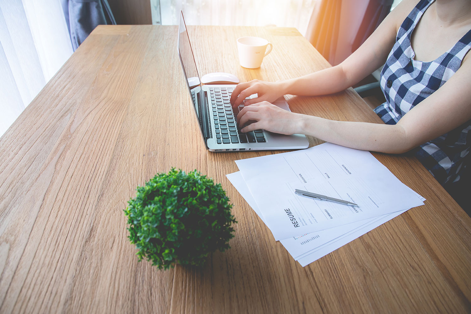 First application session starts on November, 22nd! Master Pangea